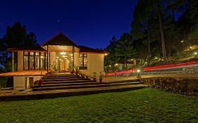 Arcadian Blue Pines